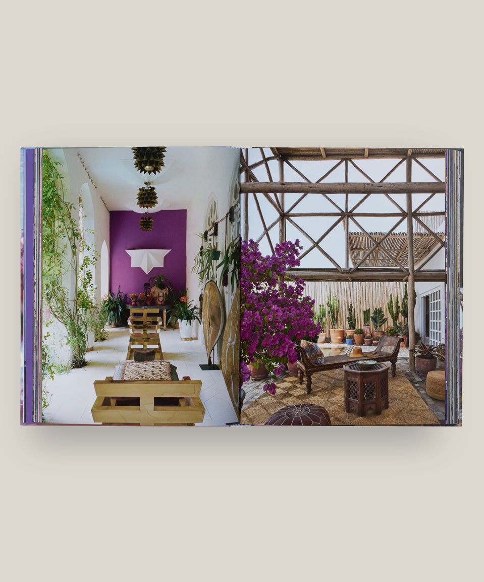 Purple Fever: Carlos Mota