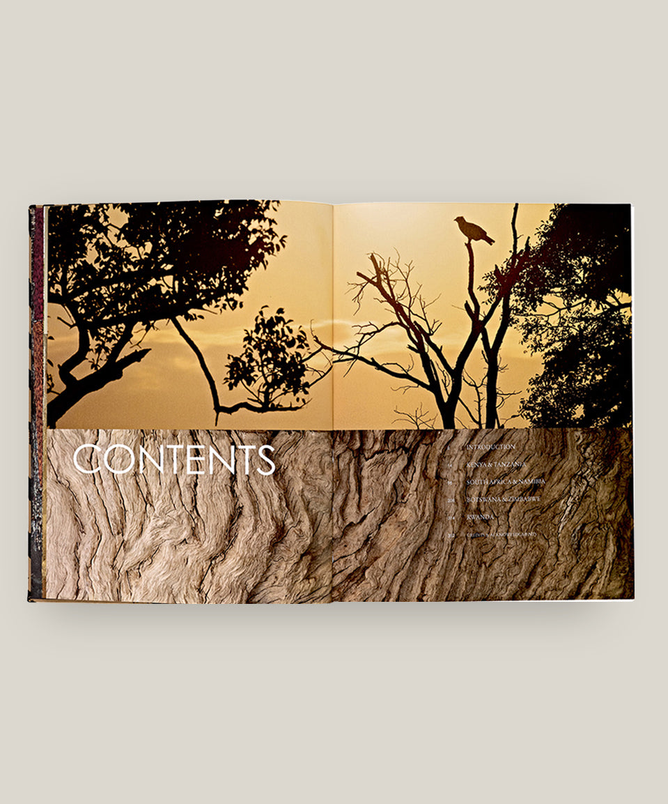 Safari Style: Exceptional African Camps and Lodges