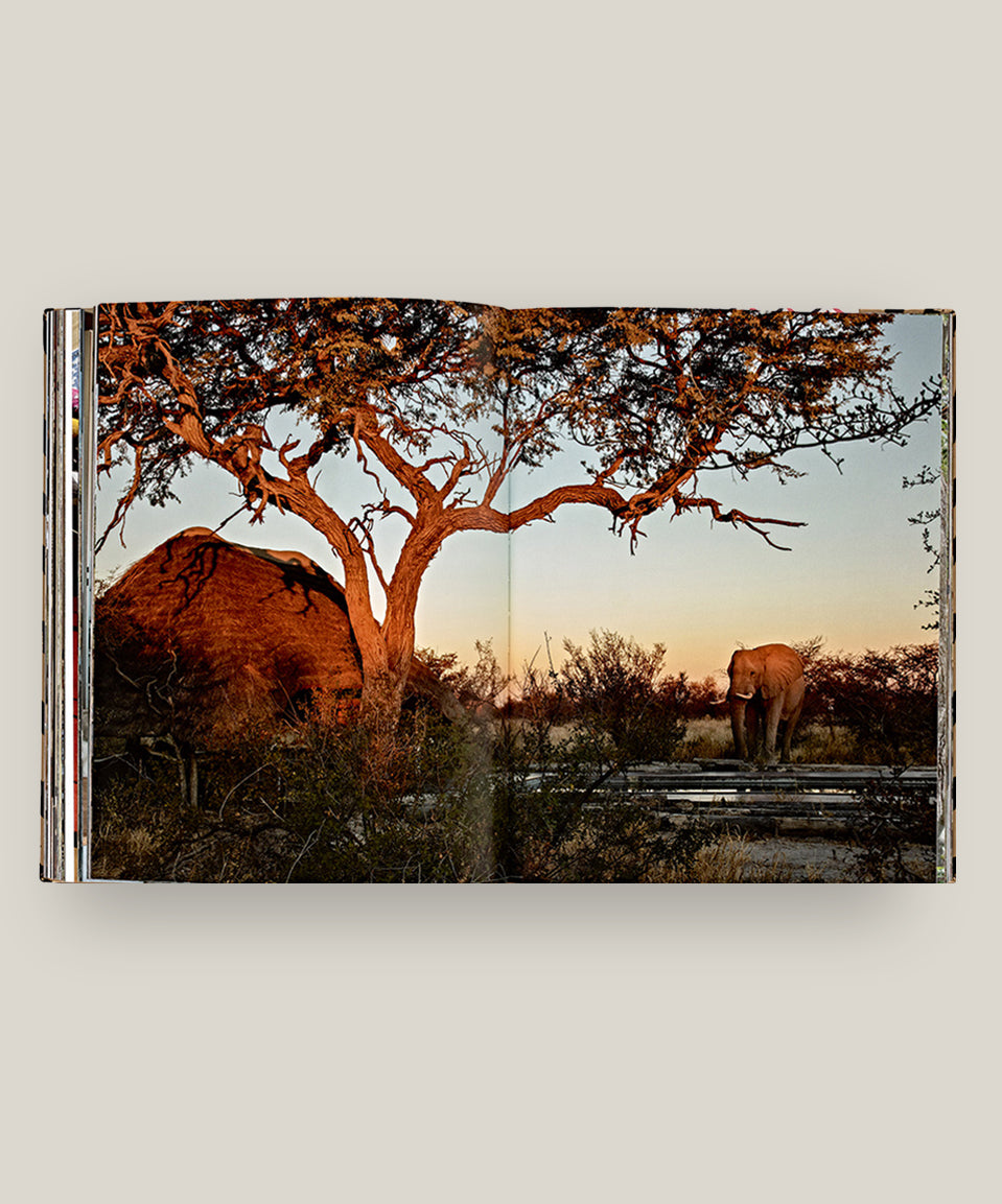 Safari Style: Exceptional African Camps and Lodges