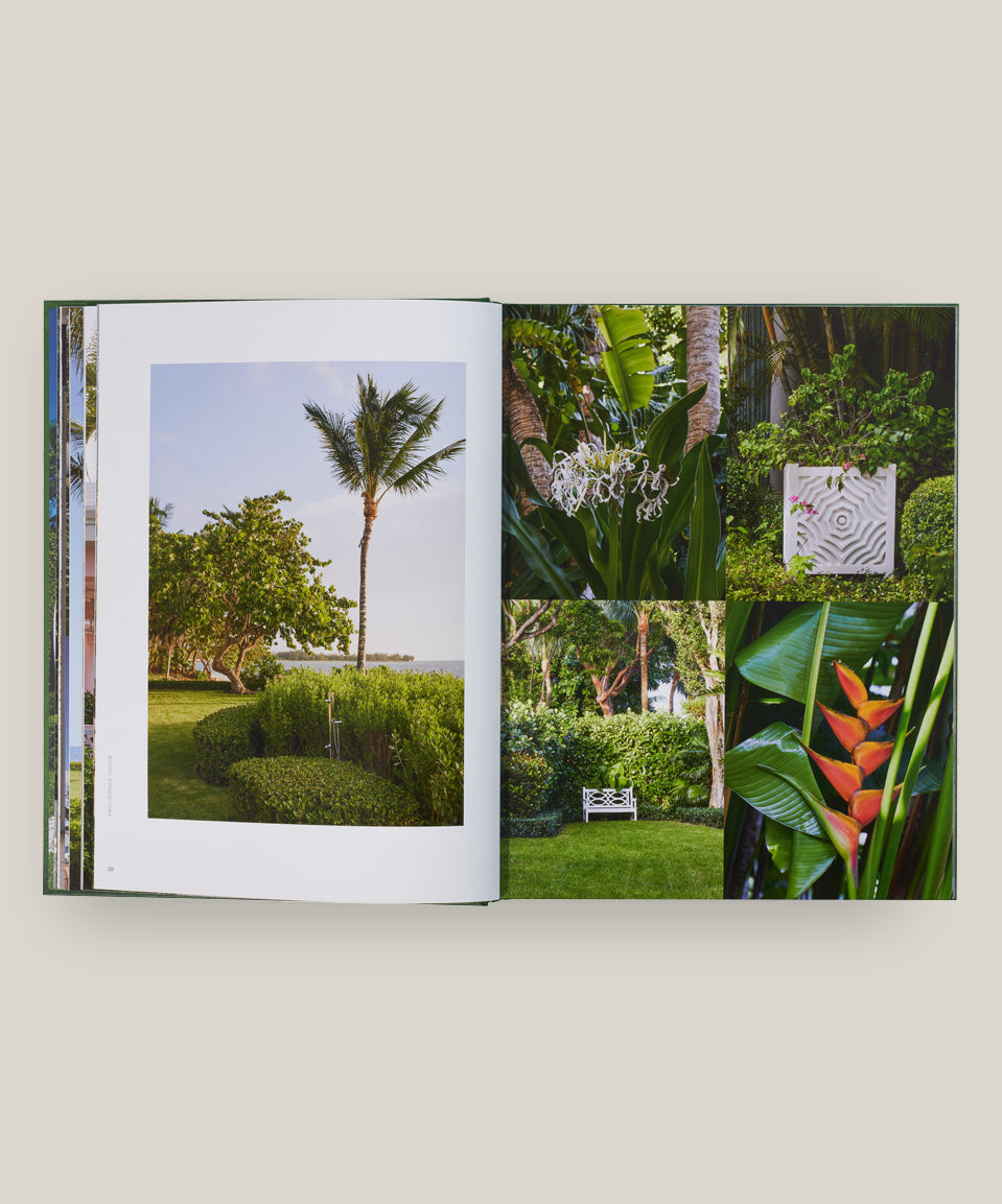 The Young Man and the Tree: Fernando Wong Landscape Design