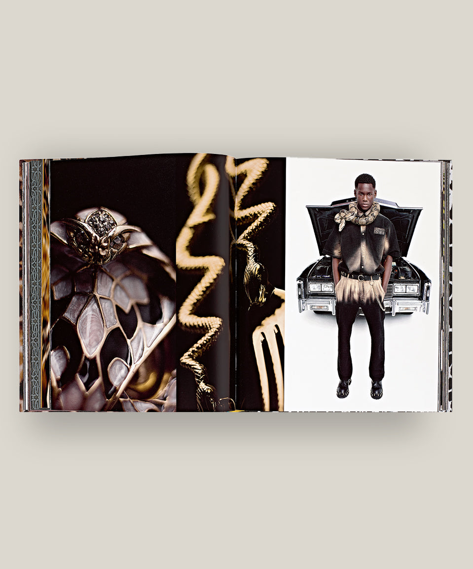 Casa Cavalli Home: Celebrating the Roberto Cavalli Lifestyle