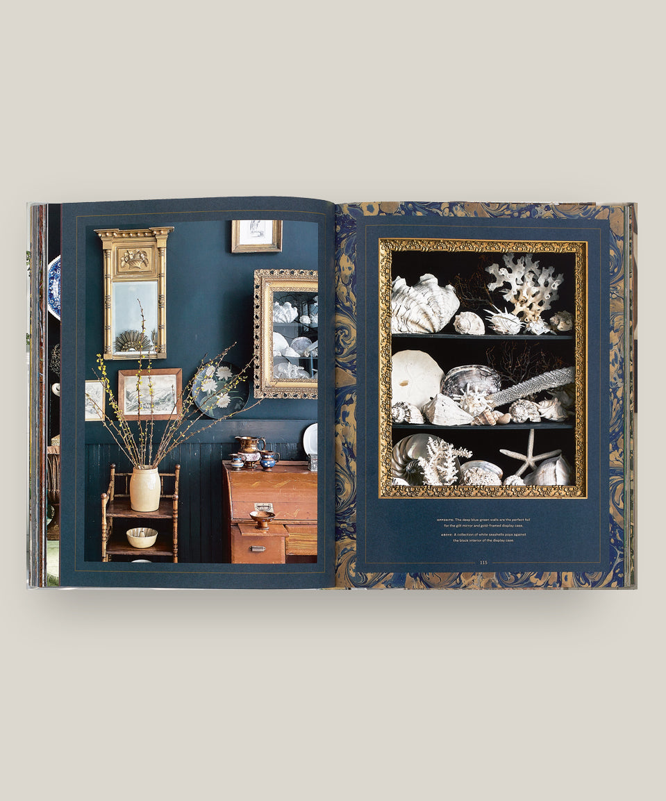 Sean Scherer's Vignettes